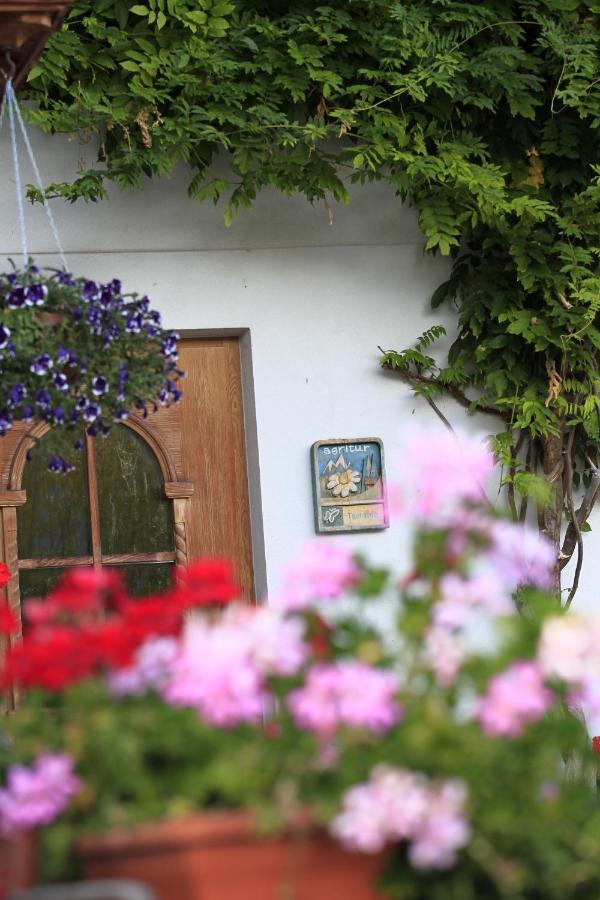 Agriturismo Maso Santa Libera Teser im Fleimtal Exterior foto